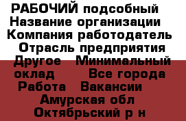 РАБОЧИЙ подсобный › Название организации ­ Компания-работодатель › Отрасль предприятия ­ Другое › Минимальный оклад ­ 1 - Все города Работа » Вакансии   . Амурская обл.,Октябрьский р-н